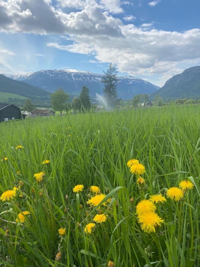 Stort Og Autentisk Hus I Skjak - Kort Vei Til Lom! Buitenkant foto